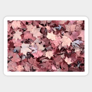 Pink Autumn Leaves Sticker